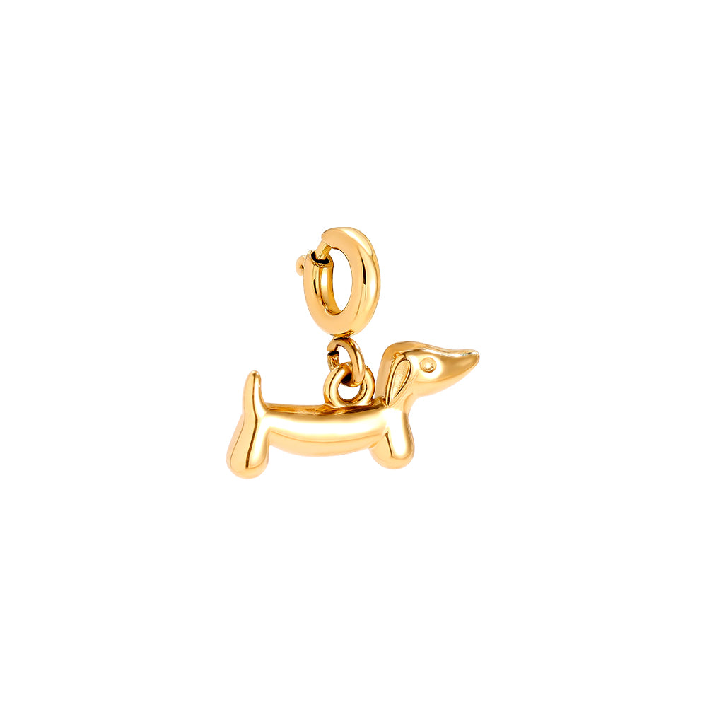 ⊹ DACKLI Charm ⊹