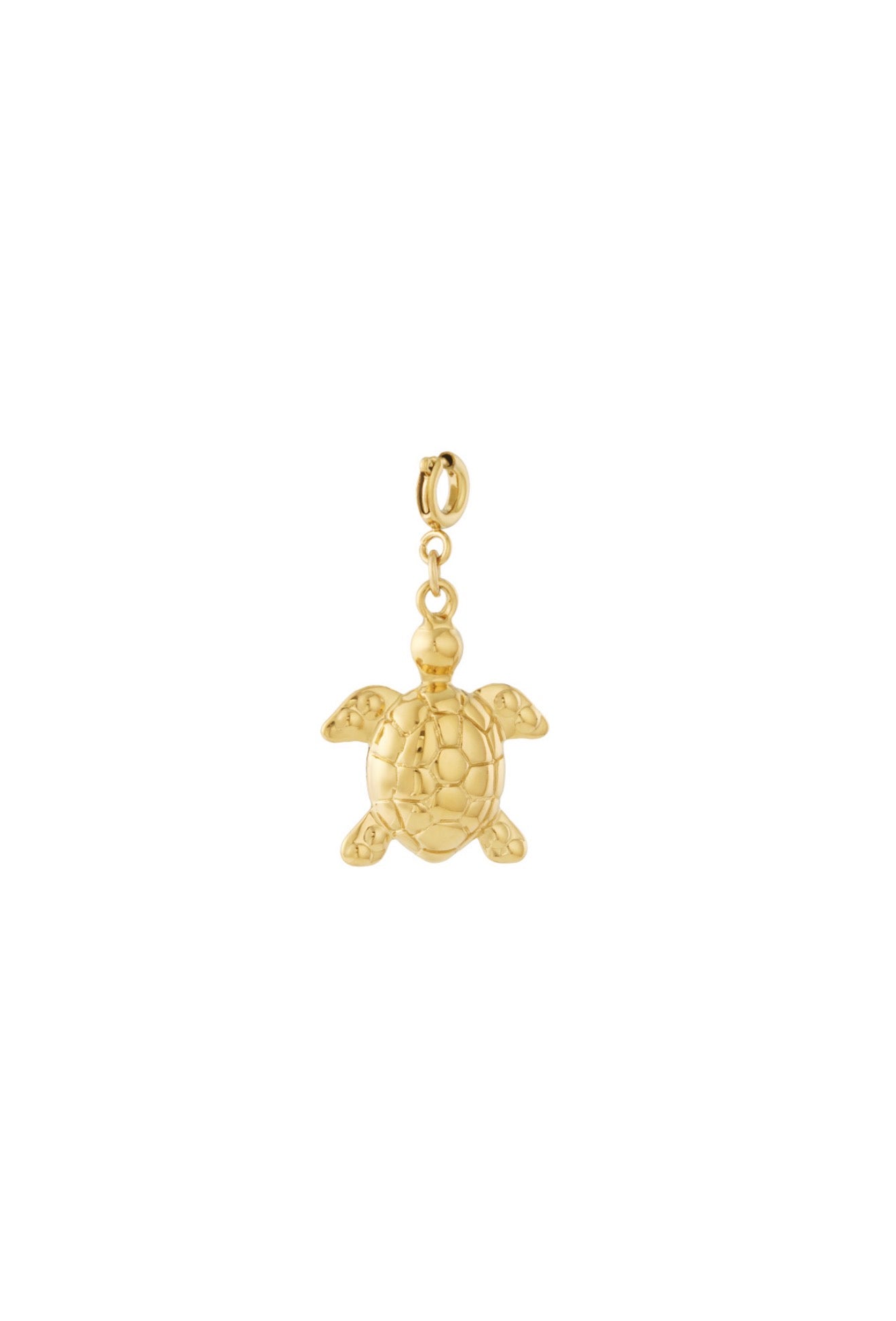 ⊹ TULU Charm ⊹