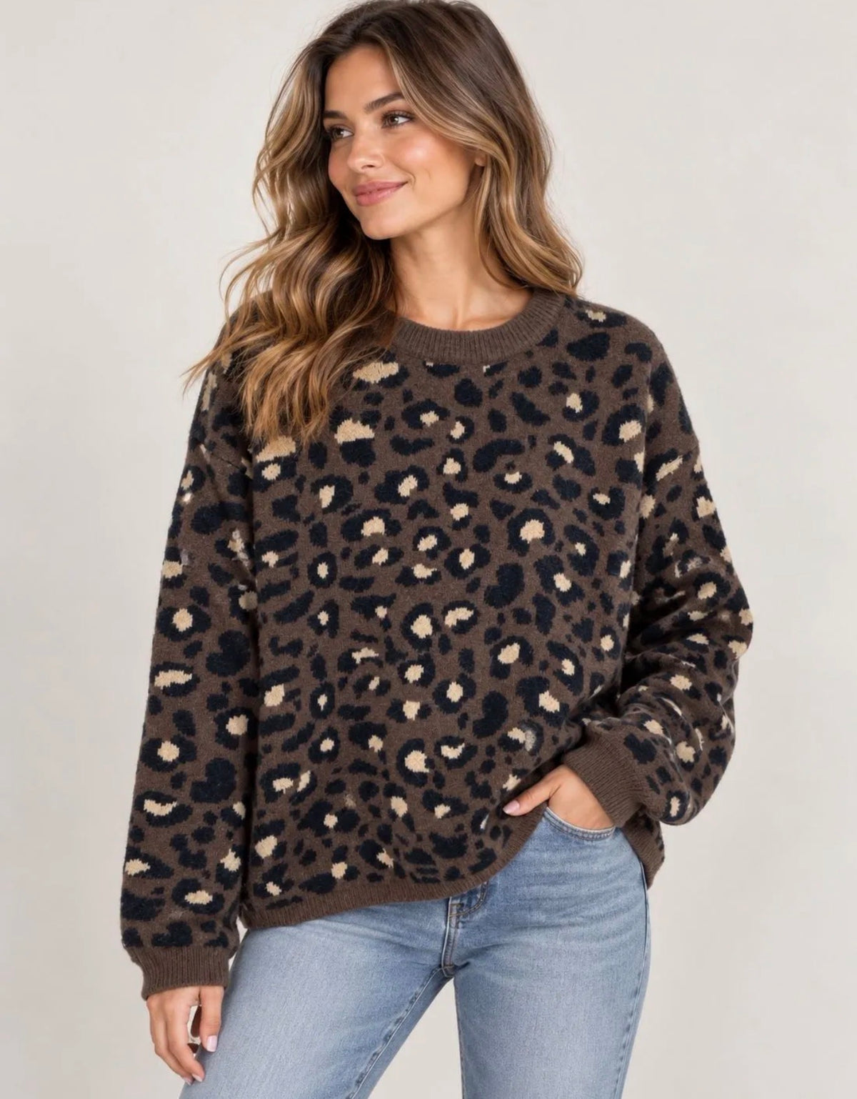 ⊹ LEO Pullover ⊹