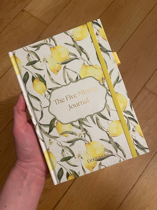 ⊹ The Five Minute Journal ⊹