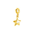 ⊹ STAR Charm Gold ⊹