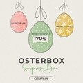 ⊹ Osterbox ⊹ ohne Kleidungsstück