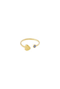 ⊹ Geburtsstein Ring ⊹