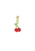 ⊹ CHERRY Charm ⊹